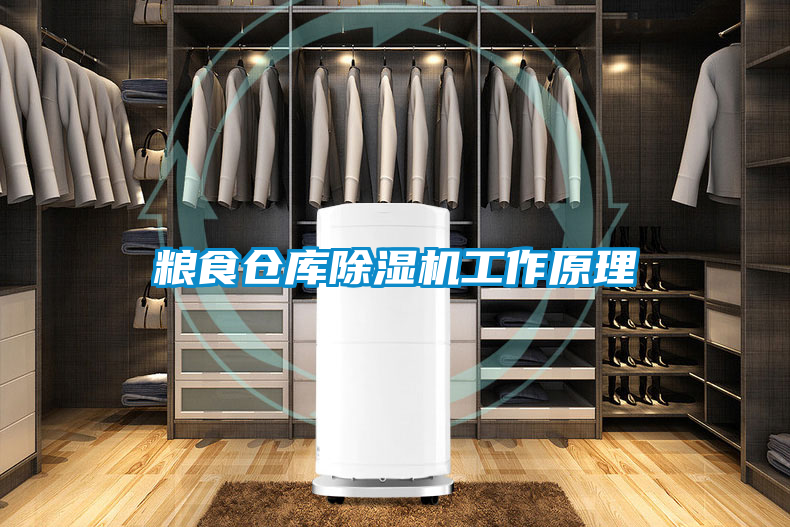 糧食倉(cāng)庫(kù)除濕機(jī)工作原理