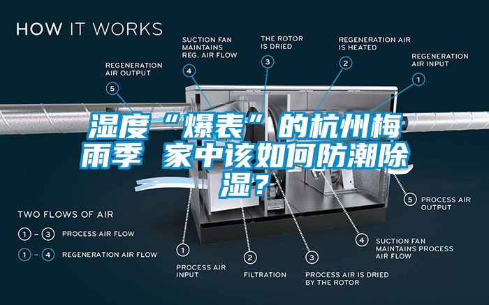 濕度“爆表”的杭州梅雨季 家中該如何防潮除濕？