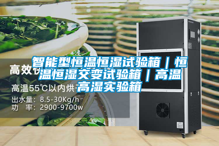 智能型恒溫恒濕試驗箱|恒溫恒濕交變試驗箱|高溫高濕實驗箱