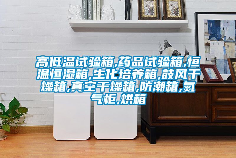 高低溫試驗箱,藥品試驗箱,恒溫恒濕箱,生化培養(yǎng)箱,鼓風干燥箱,真空干燥箱,防潮箱,氮氣柜,烘箱